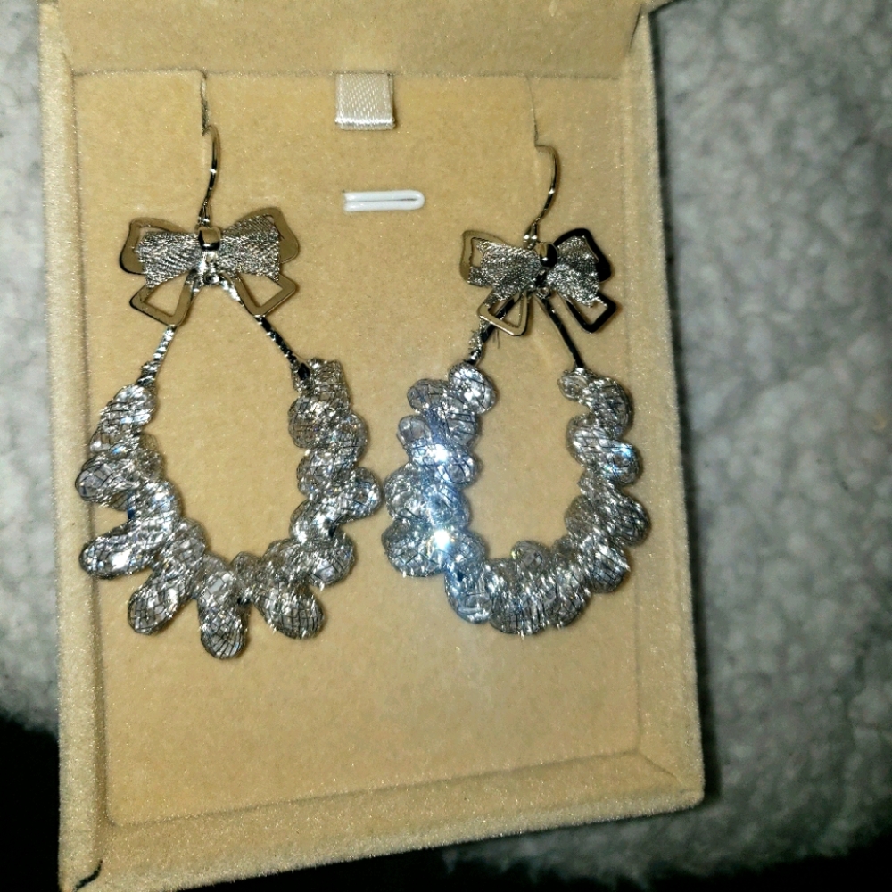 Silver earrings with gems